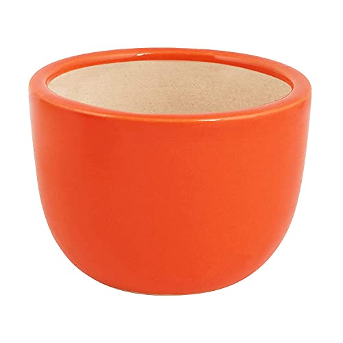 Image of Leafy Tales Urn Ceramic Pot, Multicolour, 3 Inch, 3 Pots, Set 3