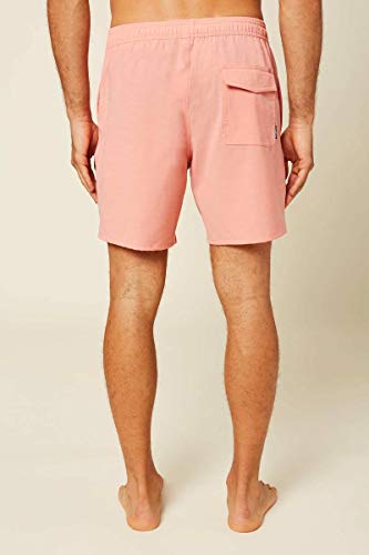 Coral Hot Solid Volley Shorts by Oneill4