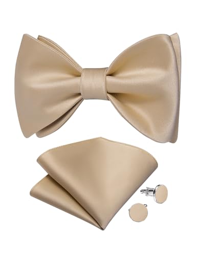Image of DiBanGu Satin Bow tie Self-Tied Bowtie Set for Men Wedding Prom | Solid Color,Skin-Friendly,Versatile Accessory,Lapel Pin,Pocket Square,Cufflinks,School Dance,Banquet,Dinner,Celebration