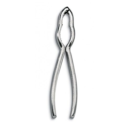 AUSONIA - Schiaccianoci Solido Rompinoci in Acciaio Inox per Rompere Noci e nocciole