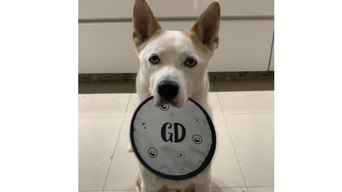 Frisbee Dog Toy - Soft For Dogs Training Disc Floppy Flying Cloth Style- Best Chewable Durable Floating Family Toys Pool Flying, Black, Grey #TOP5