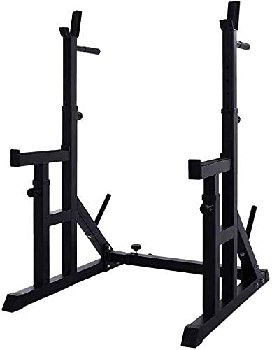 OTQEFTN Professional Equipment Auxiliary Dumbbell Bench Adjustable Squat Racks Barbell Stand,Multifunction Weight Bench Dumbbell Racks,Heavy Duty Press Dipping Station Strength Training Racks
