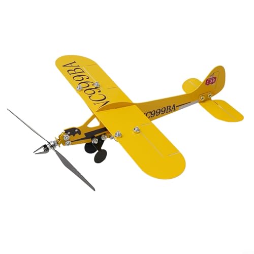 Entgoinggo Segnavento a vento per aeroplano, banderuola in metallo, decorazione da giardino in metallo, per esterni, cortile, arte artigianale