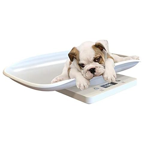 Multi-Function Digital Pet Scale ,Large LCD Display Electronic Scales Weight 10kg Capacity Pet Dog Weighing Scale With Comfortable Curving Platform For Small Dog Cat and Animals Cover