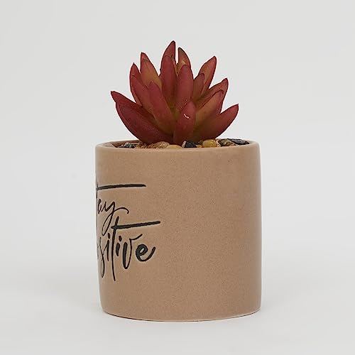 Home Centre Garnet Garden Artificial Succulent Quotes Planter