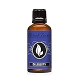 Blueberry Premium Grade Fragrance Oil - Scented Oil - 30ml