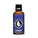 Blueberry Premium Grade Fragrance Oil - Scented Oil - 30ml
