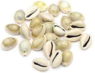 Bhavya EnterprisesSingle Hole 100 Pcs Natural Cowrie Kauri Shell Beads for Jewellery Making, Arts and Crafts Work, Necklace, Bracelet Earring DIY Items and Crafts (Cowrie)