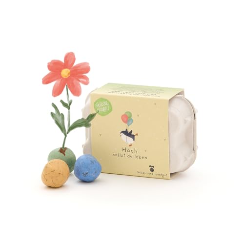 Wachsendes Geburtstagsgeschenk: 6 bunte Saatkugeln mit Saatgut im Mini-Eierkarton | Geburtstagsgruß 'Hoch sollst du leben' | Verschenke Glückwünsche zum Aussäen | Geschenk zum Geburtstag oder Jubiläum