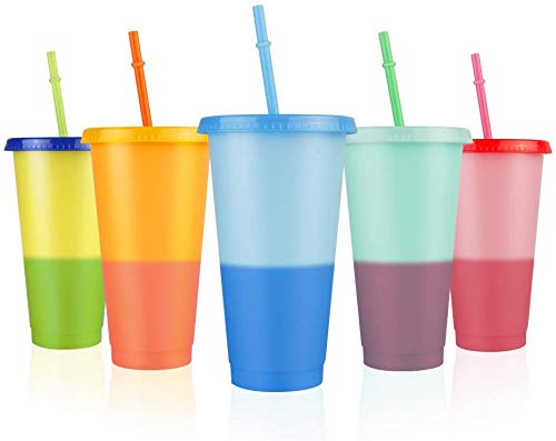 Stylvio 5 Reusable Color Changing Cups with Lids and Straws 24oz, Changing Color Tumbler Cups for Adults and Kids