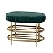 BRGAOQI Scarpiera Panca Panca Portascarpe Metallo Cambio Scarpe Scarpiera Scarpiera Portaoggetti Creativo Sostituzione Scarpiera Sgabello Scarpiera con ripostiglio (Color : Green, Size : 60X35X45cm)