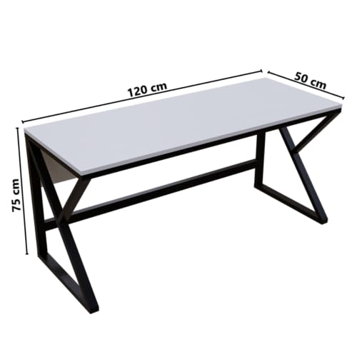 Image of Riyan Luxiwood Alden Computer Table in Engineering Wood for Home & Office, Simple Style Desk, Scratch Resistance Surface, Easy to Assemble, Study Table for Kids (Size-12 X 5 X 75 Cm) - White