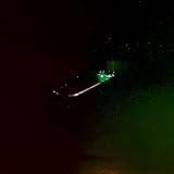 Saltwate.II (Sinking)