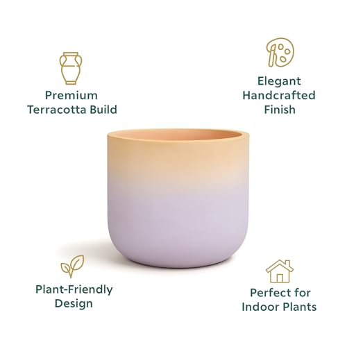 Image of Urban Plant Terracotta Pot - Trendy Planter for Modern Home & Garden Spaces (Gala Gradient Terracotta Pot - Pink)