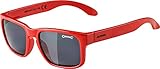 Tipo de deporte: radsport Alpina joven unisex, MITZO C gavas de sol, red, talla única