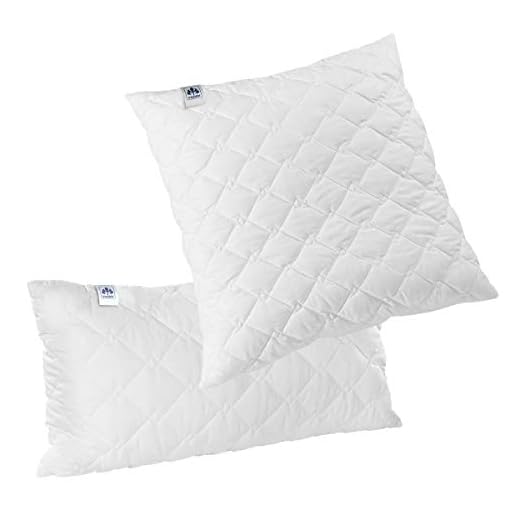 Irisette Edition Kopfkissen, Microfaser, 80 x 80 cm, weiß, Öko-Tex zertifiziert, produziert nach deutschem Qualitätsstandard 8 Irisette Kopfkissen Lavina, Füllung: 100% Hohlfaserbällchen 80x80 cm