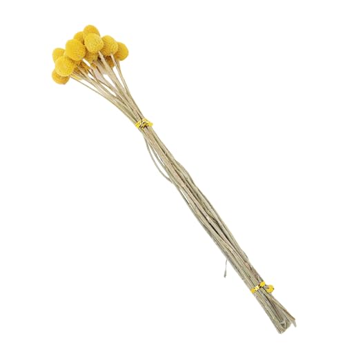 Ramo de flores secas Zerone diseño elegante para decoración miniatura 4
