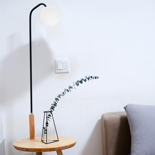 Image of Kichvoe 3.9 Inch Globe Lampshade Replacement Acrylic Wall Lamp Cover for G9 Socket