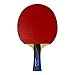 Butterfly Timo Boll Shakehand Ping Pong Paddle - Good Speed And Spin With Superb Control - Japan Series - Recommended For Beginning Level Players - International Table Tennis Federation Approved