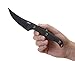 CRKT Clever Girl Fixed Blade Knife with Sheath: Powder Coated SK5 Steel, Upswept Blade, Textured Nylon Handle, Molle Compatible Sheath 2709,Black