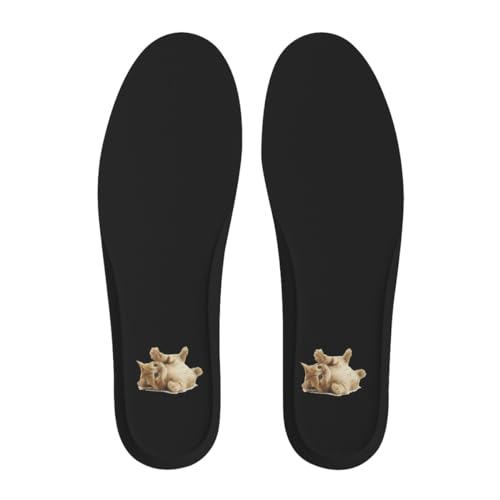 G gL lR C\[ C NbV ~ ᔽ y ʋC z _炩 K 傫TCY Ch~ 􂦂 X|[cV[Y oXPbg{[V[Y TbJ[V[Yp i lGʂ jp