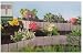 BORDE LIMITADOR PARA JARDIN - 5.0 m - INTERHOME©