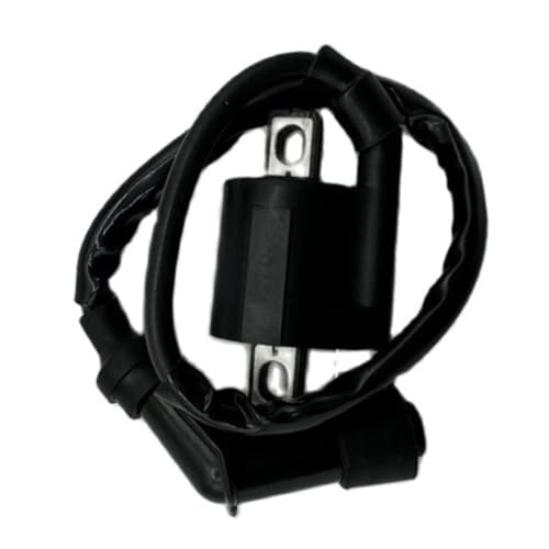 Bobina de encendido YFM350 para ATV Y350, pieza de encendido de motor