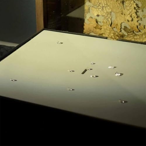 Fuente automática para gato negra miniatura 6