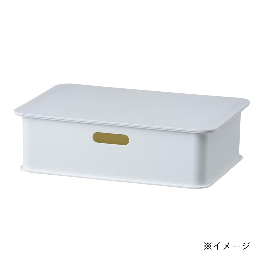 Amazon｜カインズ(CAINZ) インテリアコンテナ フタ 幅38.8cm 奥行26.6