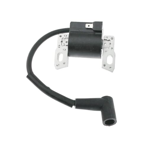 Bobine d'allumage pour moteur remplace OEM 796499 et 595554 - 2