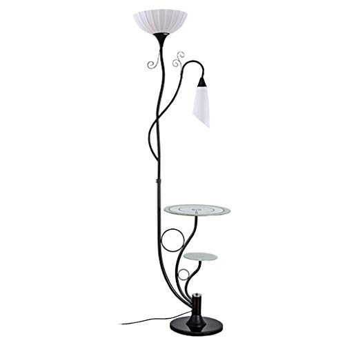 Tingting1992 lampadaire Lampadaire Creative Salon Chambre Lampe de Chevet Rangement Lampadaire Noir Lampe (Color : White Light)