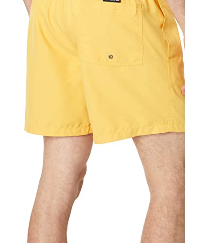 Quiksilver Men's Standard Everyday 17 Volley Swim Trunk Boardshort3