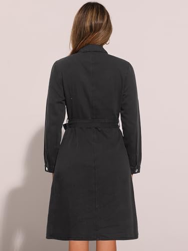 Image of Allegra K Denim Dress for Women's Long Sleeve Button Down A-Line Belted Classic Jean Dresses
