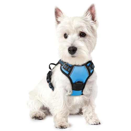 Image of rabbitgoo Dog Harness No Pull with 2 Leash Clips, Adjustable Soft Padded, Reflective Oxford No Choke Pet Vest with Easy Control Handle for Puppy, Blue, XS