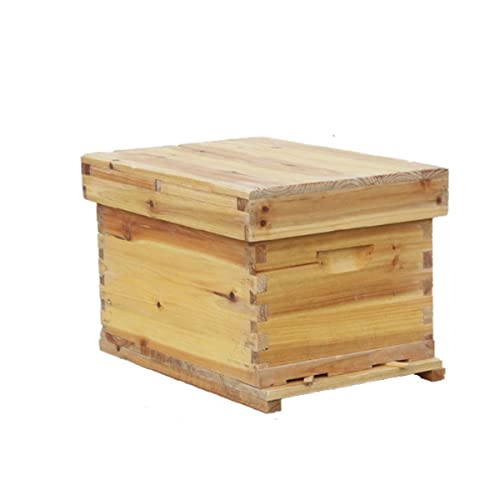 YQLKD Bee Hive, caja de abeja de colmena...
