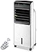 unità del condizionatore d'Aria per la casa, Ventilatore Elettrico e umidificatore Portatile Senza Lama, Ventola di Raffreddamento Mobile/umidificatore/purificatore d'Aria per la Camera da Letto dell
