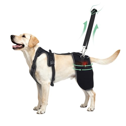 Dog Hip Support Brace for Hip Dysplasia, Adjustable Dog Hip ...