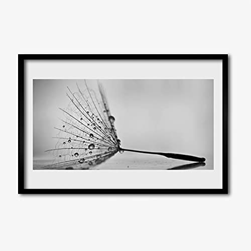 Cadre photo pissenlit pour salon et chambre affiche encadrée 60x40cm Tulup