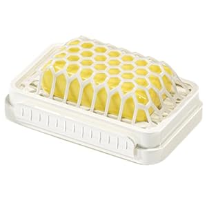 Generisch Doppellagiger Seifenhalter Netzstruktur