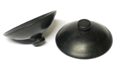 Tetra Poissons Eau Douce Tropicale Ventouses pour Tetra EasyCrystal Filter 250