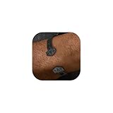 【Thors Hammer Bracelet】Antique thors hammer adjustable bracelets stainless steel/black plated, norse viking jewellery for men boys, good for everyday wearing and no green wrist issues, could be lucky charm or talisman amulet. 【Stainless Steel Bangle】...