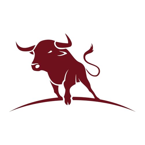 Torostoria.it cover art