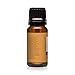 Cedarwood Premium Grade Fragrance Oil - 10ml - Scented Oils