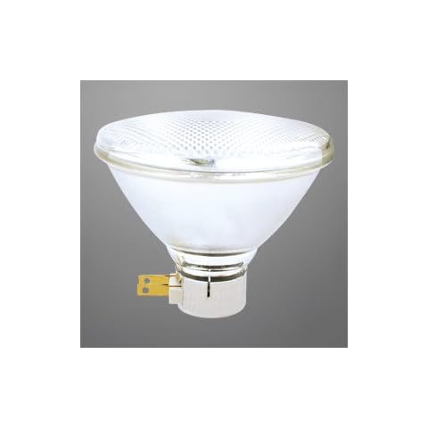 Side Prong PAR38 FLOODLIGHT 75 WATTS Bulb Cover