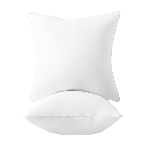 Ashler �N�b�V���� ���g 40×40cm 2�Z�b�g ����115% ���|�I�{�����[���� �����n��100% �ׂ�Ȃ� �k�[�h�N�b�V���� �R�ۖh�L���H �w������ �􂦂�