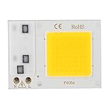 Fuente de luz COB con chip LED de alta potencia de 50W 220V con calidad confiable.