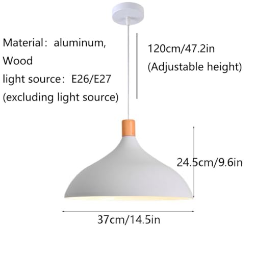 Lampe Suspendue Simple et Compacte pour Éclairer les Petits Espaces