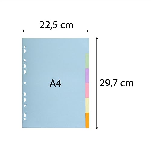 Exacompta Intercalaires Pastel 170 g Forever 6 Positions A4 Couleurs Assorties - vue 3