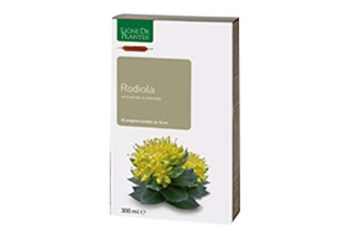 Ligne de Plantes Rodiola 20 Ampolle