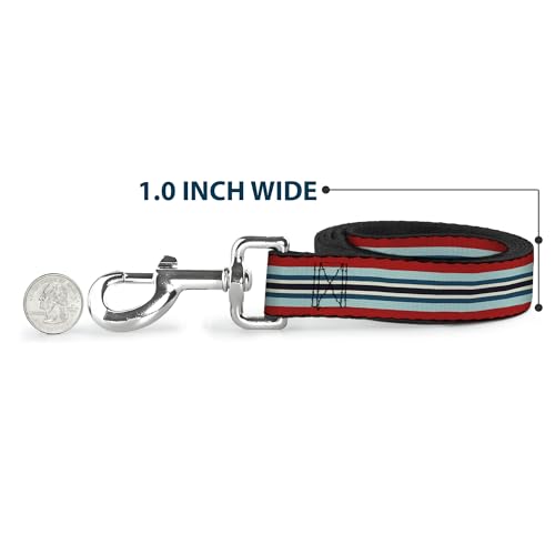 Laisse pour chien résistante Buckle Down stripes évite les tractions brusques